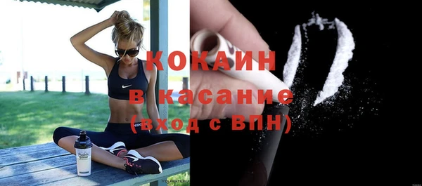 твердый Каменка