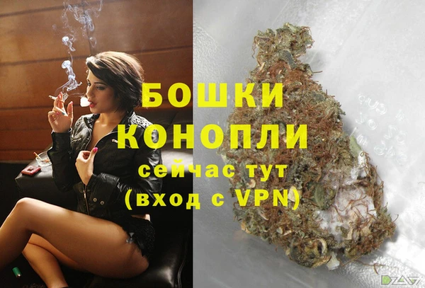 твердый Каменка
