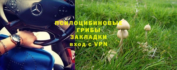 mdpv Каменногорск
