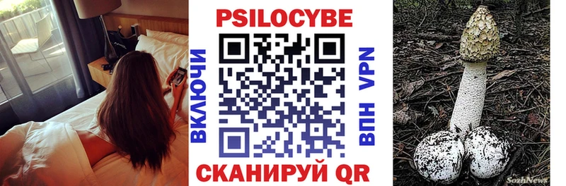 Псилоцибиновые грибы Cubensis Спасск