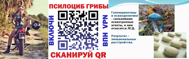 Купить закладки  Спасск  Псилоцибиновые грибы MAGIC MUSHROOMS 